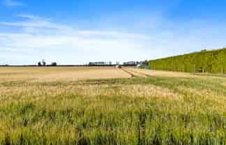 215 Falvey Road, Levels