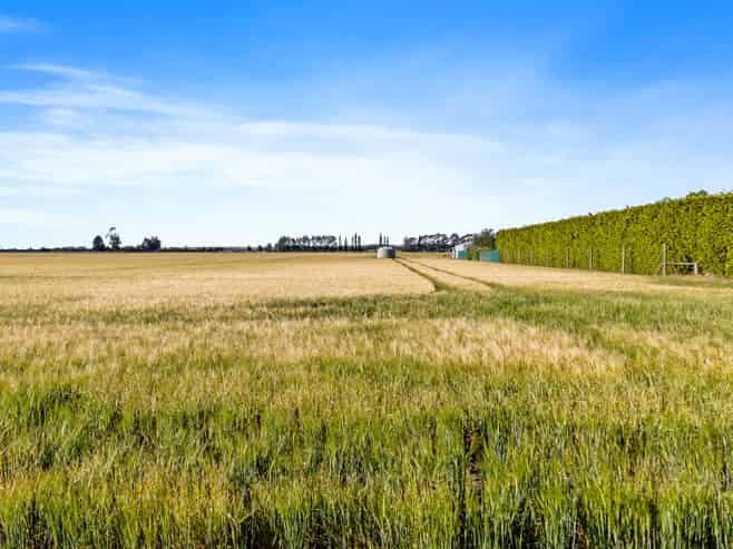 215 Falvey Road, Levels