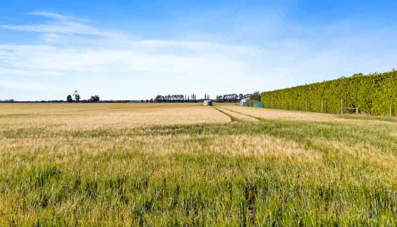 215 Falvey Road, Levels