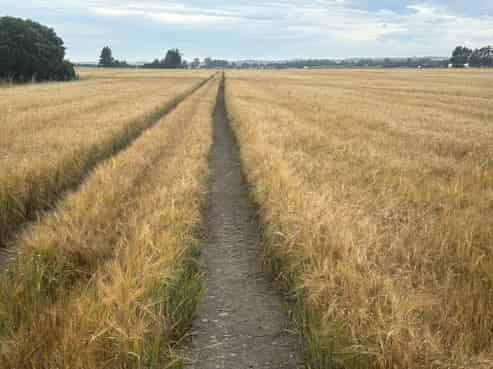 215 Falvey Road, Levels