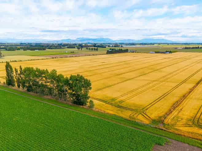 215 Falvey Road, Levels