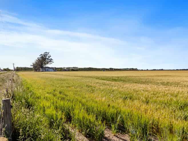 215 Falvey Road, Levels