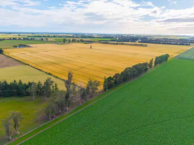 215 Falvey Road, Levels