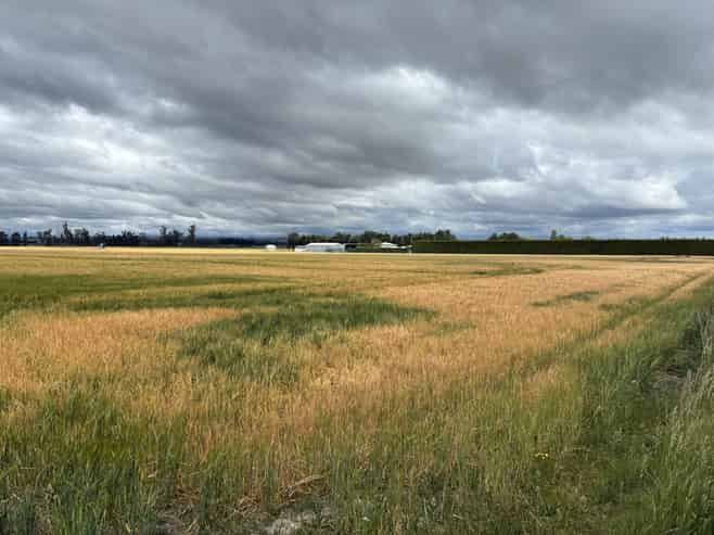 215 Falvey Road, Levels