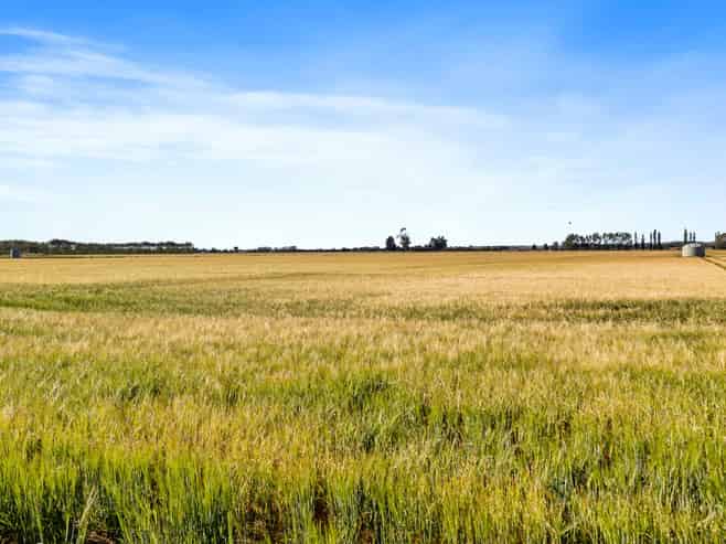 215 Falvey Road, Levels