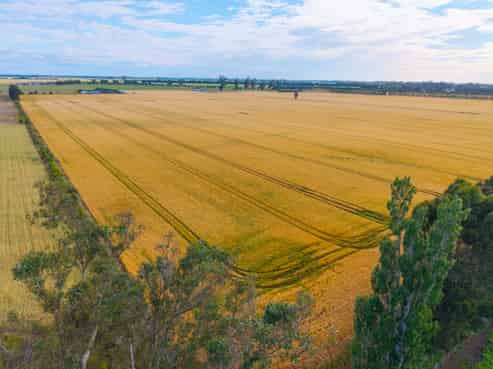 215 Falvey Road, Levels