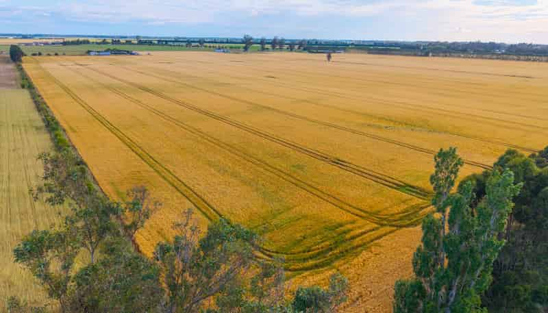 215 Falvey Road, Levels