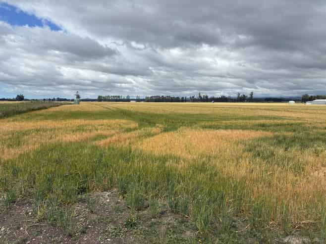 215 Falvey Road, Levels