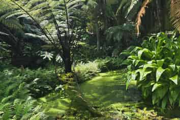 23 Taheke Road, Kaikohe