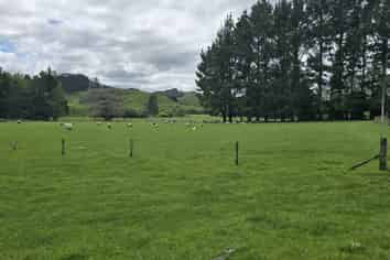 1155 Makuri Road, Stratford