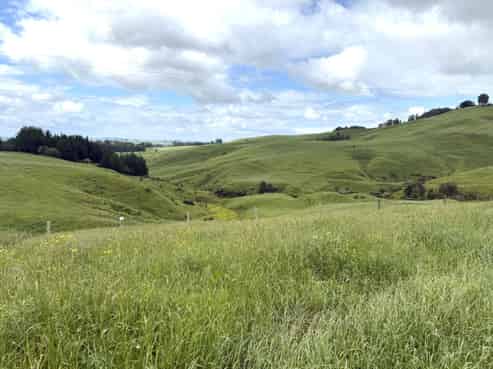  Taotaoroa Road, Karapiro