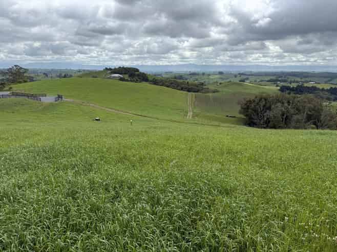  Taotaoroa Road, Karapiro