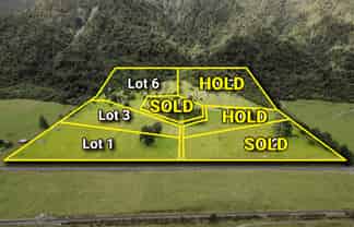 2237 Lake Brunner Road (lots 1,3,6,), Inchbonnie