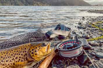 2237 Lake Brunner Road (lots 1,3,6,), Inchbonnie