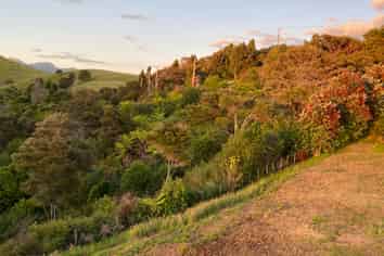 Lot 4 409 The Drive, Whangamata