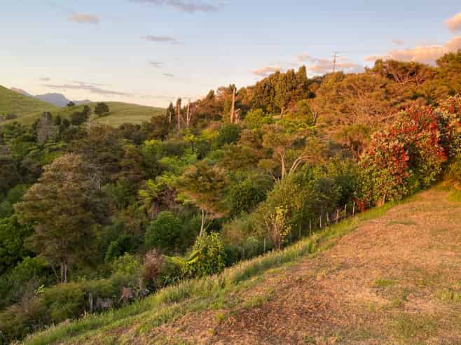 Lot 4 409 The Drive, Whangamata