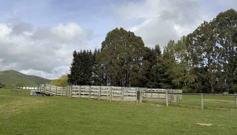 1148 Blackmount Redcliff Road, Te Anau