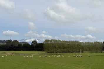 1148 Blackmount Redcliff Road, Te Anau