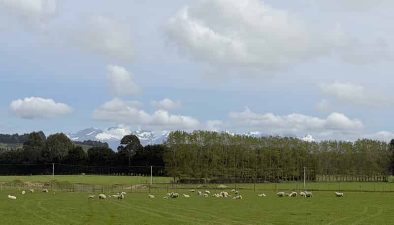 1148 Blackmount Redcliff Road, Te Anau