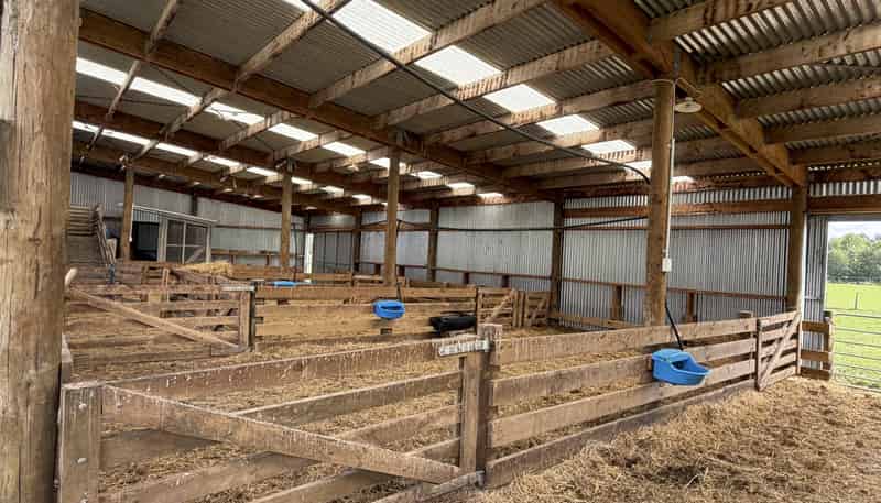 1148 Blackmount Redcliff Road, Te Anau