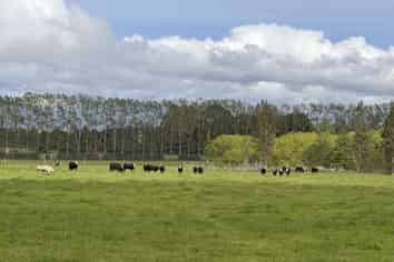 1148 Blackmount Redcliff Road, Te Anau