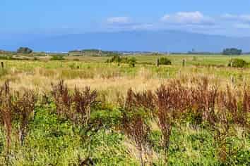 2/1088 Wilsons Lead Road, Cape Foulwind