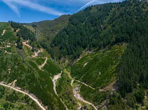 785 Waikakaho Road, Tuamarina