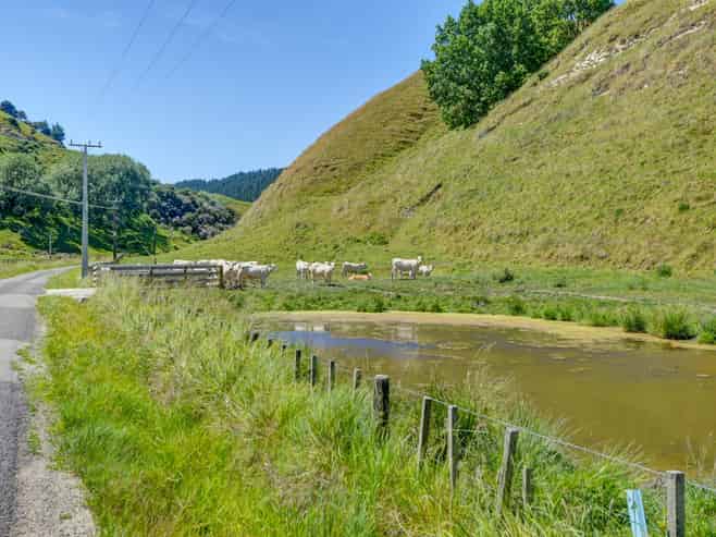 52 Longacre Road, Okoia