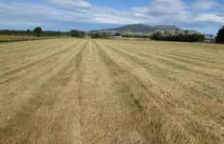 451 Whiterig Road, Knapdale