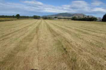 451 Whiterig Road, Knapdale