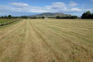 451 Whiterig Road, Knapdale