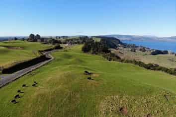   Te Waerenga Road, Hamurana, Hamurana