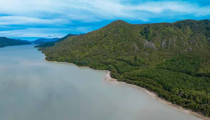 Kenepuru Head, Admiralty Bay