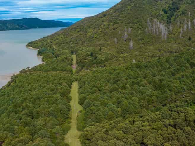  Kenepuru Road , Kenepuru Sound