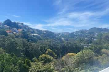 37 Raroa Road, Kelburn