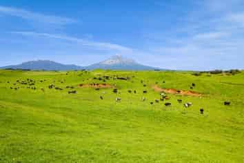 507/537 Parihaka Road, Pungarehu