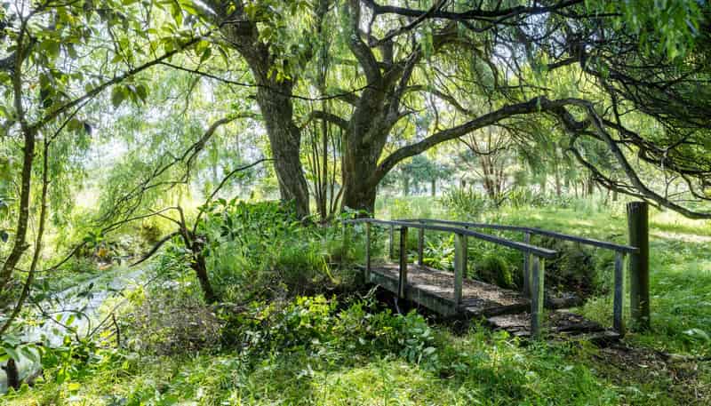 530 Old Woodcocks Road, Kaipara Flats