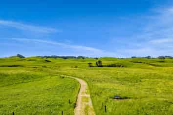 617 Parihaka Road, Pungarehu