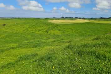 0n Parihaka Road, Pungarehu