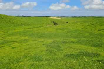 0n Parihaka Road, Pungarehu