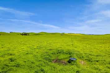 0n Parihaka Road, Pungarehu