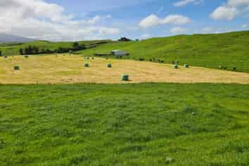 0n Parihaka Road, Pungarehu