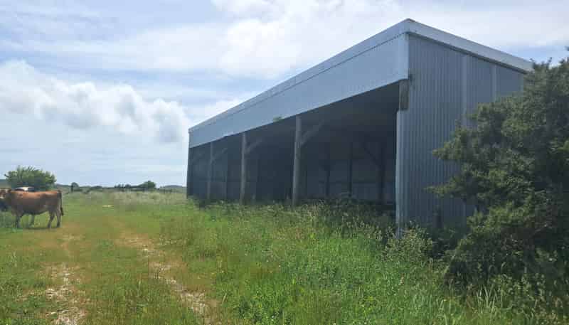 980 Wilsons Lead Road, Cape Foulwind