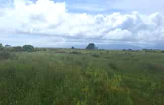 980 Wilsons Lead Road, Cape Foulwind