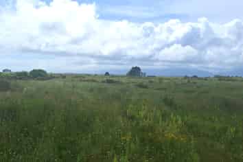 980 Wilsons Lead Road, Cape Foulwind