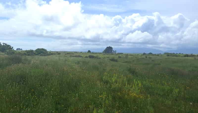 980 Wilsons Lead Road, Cape Foulwind