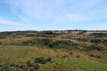 980 Wilsons Lead Road, Cape Foulwind