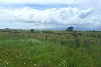 980 Wilsons Lead Road, Cape Foulwind