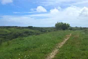 980 Wilsons Lead Road, Cape Foulwind