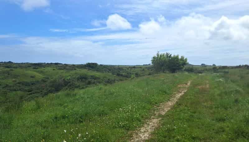 980 Wilsons Lead Road, Cape Foulwind